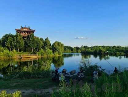 果冻传媒91传媒在线观看-探索果冻传媒91传媒，在线观看的多元魅力与影响