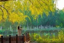 果冻传媒国产剧情出轨-国产剧情中的出轨现象，果冻传媒作品下的伦理探讨