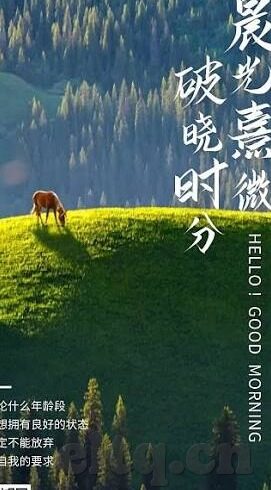 糖心app免费下载官网-探索糖心App下载通道，免费获取的便捷与注意