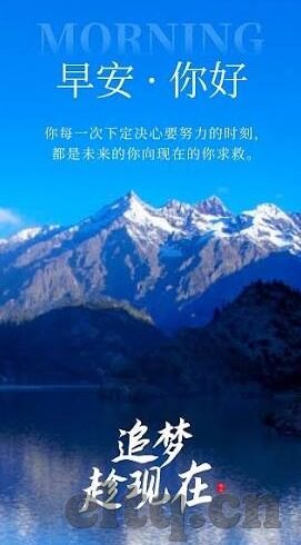 伊人亚洲福利一区二区三区-伊人亚洲福利一区二区三区，探索网络世界的多元文化与交流